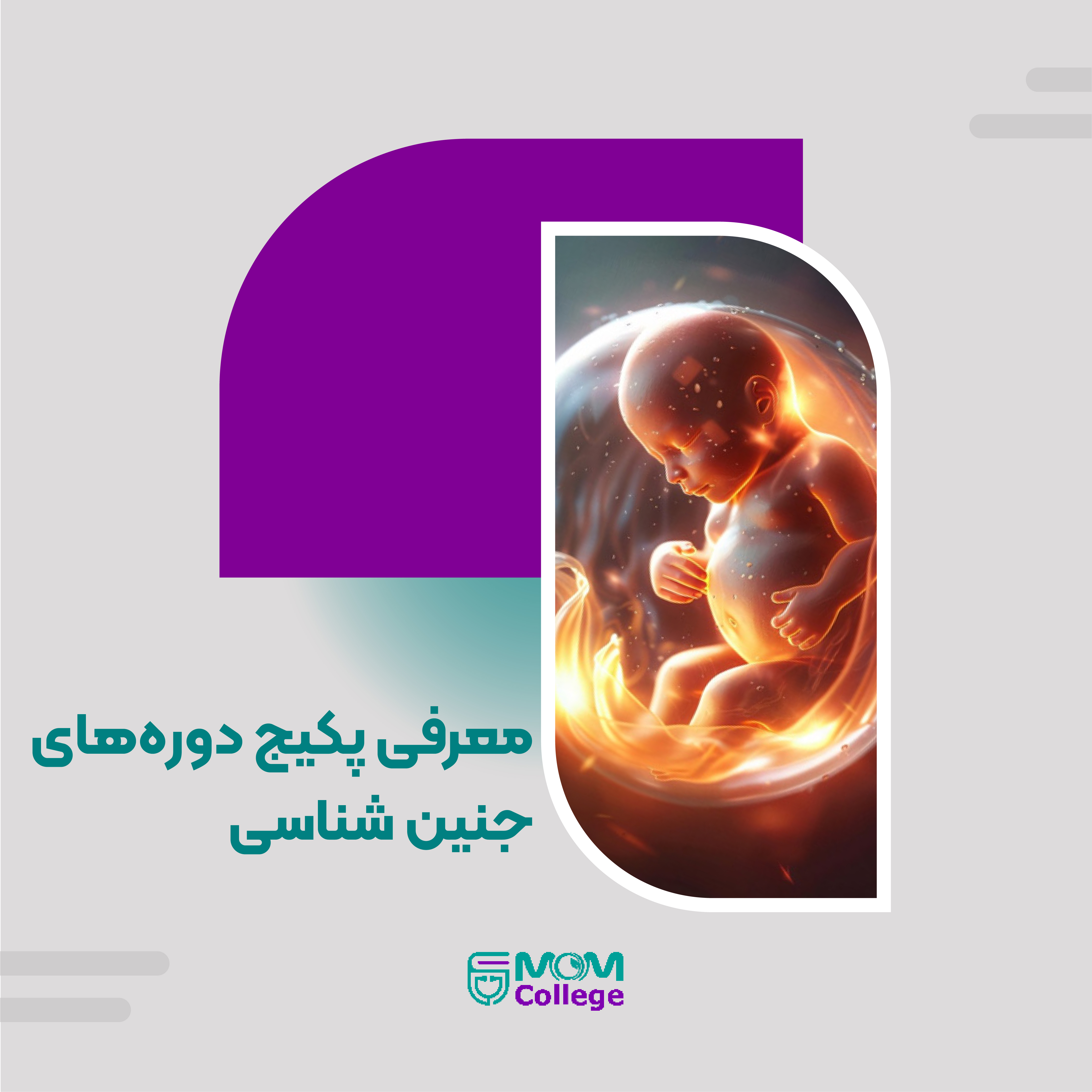Embryology Course